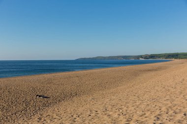 Slapton Sands Devon İngiltere
