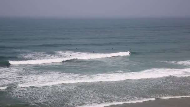 Surfing North Cornwall Porthtowan Cornish Coast — Stockvideo