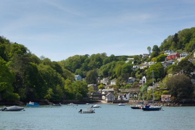 Dartmouth Devon İngiltere River Dart tekne gezisi tarihi şehir manzarası