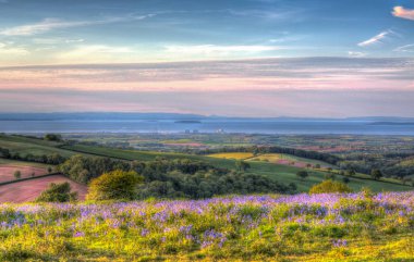 Quantock Hills Somerset İngiltere'den Hinkley Point Nükleer Santrali'ne ve Bristol Channel'a doğru bir yaz akşamı renkli Hdr'de bir resim gibi bluebell çiçekleri ile görüş
