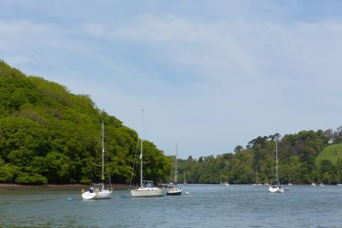 Tekneler ve yatlar Dartmouth ve Totnes İngiltere arasında River Dart Devon demirlemiş 