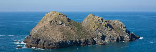 Gaviota Rocas Holywell Bay North Cornwall Hermoso Día Con Mar —  Fotos de Stock