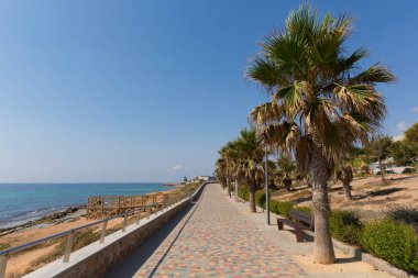 Mil Palmeras Costa Blanca İspanya palmiye ağaçları ile Playa Rocamar doğru paseo gezinti manzara