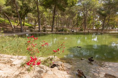 Guardamar del Segura Park Costa Blanca Ispanya vahşi yaşam, kuşlar ve bahçeler ile turist cazibe