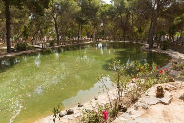 Reina Sofia Park Guardamar del Segura Costa Blanca Spain tourist attraction