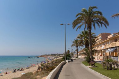 Mil Palmeras Costa Blanca İspanya'da palmiye ağaçları sahile giden gezinti paseo üzerinde