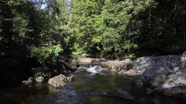 威尔士国家公园 Wales National Park Wales 河水湍急 岩石上流着白水 — 图库视频影像