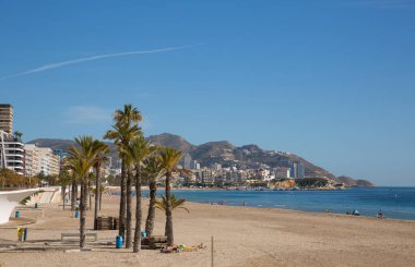 Güzel sahil ve palmiye ağaçları Benidorm İspanya Costa Blanca Akdeniz kıyısı