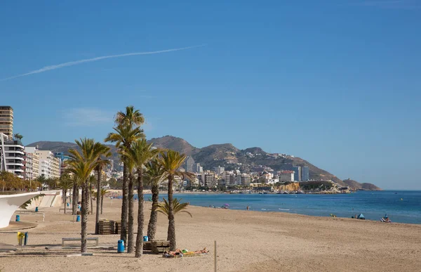 Hermosa Playa Palmeras Benidorm España Costa Blanca Costa Mediterránea — Foto de Stock