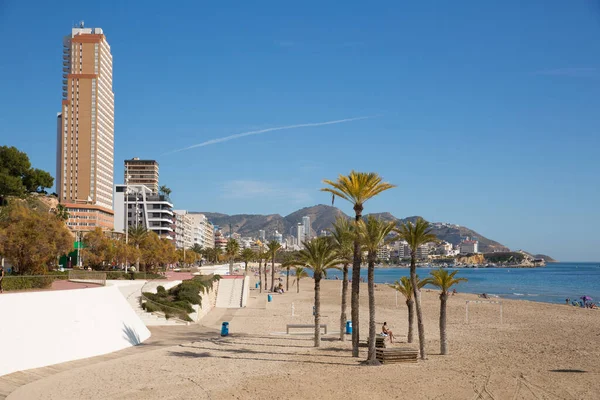 Palmiye ağaçları Benidorm sahilleri İspanya Poniente playa Kosta Blanca 'da güzel deniz ve gökyüzü 
