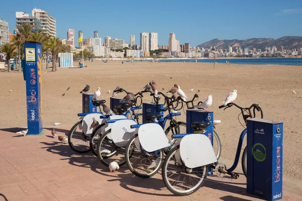 Schönes Winterwetter Mit Fahrrädern Für Touristen Und Besucher Und Urlauber — Stockfoto