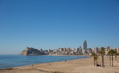Palmiye ağaçları İspanyol Costa Blanca plajı Benidorm İspanya