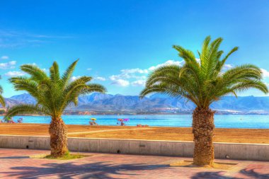 Palmiye ağaçları Puerto de Mazarron plajı Murcia İspanya parlak renkler