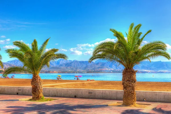 Palmiye Ağaçları Puerto Mazarron Plajı Murcia Spanya Parlak Renkler — Stok fotoğraf