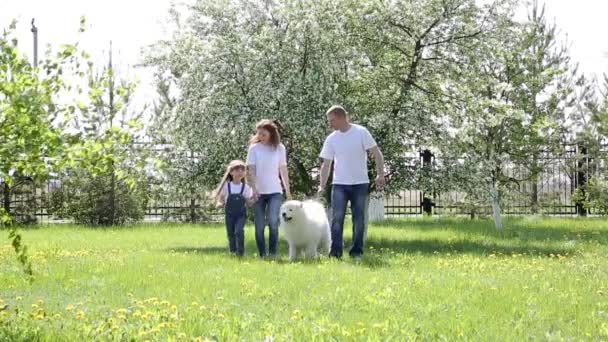 Eine Dreiköpfige Familie Geht Mit Einem Großen Hund Park Spazieren — Stockvideo