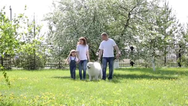 Egy Család Három Sétál Parkban Egy Nagy Kutya Apa Anya — Stock videók