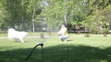 Beyaz bir köpek bir hortum dan su akışı ile oynuyor. Esmer kız köpeğini bir şehir parkı ile yürüyor.