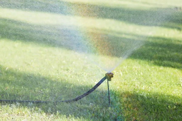 Sulama bahçeler ve Parklar için cihaz. Sulama sulama bitki ve ağaçlar bir hortum su püskürtme tarafından.