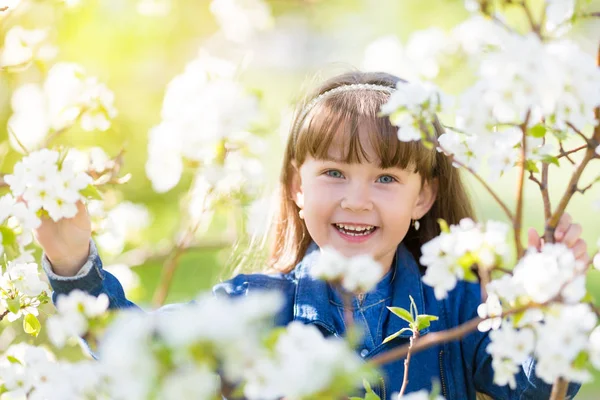 Mała Dziewczynka Lat Sukience Dżinsy Wśród Kwiatów Sad Jabłkowy Wiosna — Zdjęcie stockowe