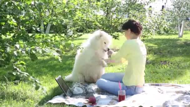 Girl Feeding Her Dog Park Picnic Beautiful Brunette Big White — Stock Video