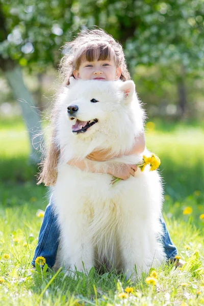 Büyük beyaz bir köpek parkta küçük kız. Güzel bir 5 yıl eski kız Jeans favori köpeğini yaz yürüyüş sırasında hugs..