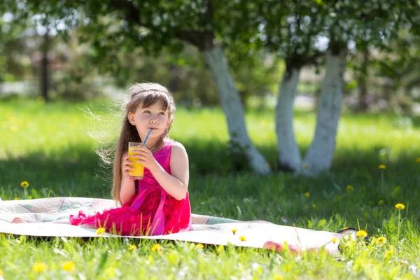 Dziewczynka Czerwonej Sukience Piknik Parku Siedzi Pije Sok Pomarańczowy — Zdjęcie stockowe