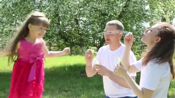 Eltern Lassen Ihre Tochter Sommer Park Seifenblasen Aufblasen Kleines Mädchen — Stockvideo