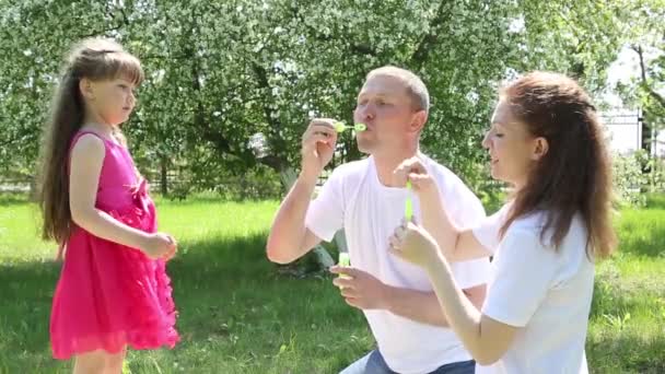 Szülők Hadd Szappanbuborékok Lányuk Nyáron Parkban Kis Lány Játszik Szappanbuborékok — Stock videók