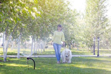 Sulama sistemi ile büyük beyaz bir köpek su damlaları altında bahçede koşturup güzel ve genç birbayan. Bir köpek ile bir kız su sprey altında gider.