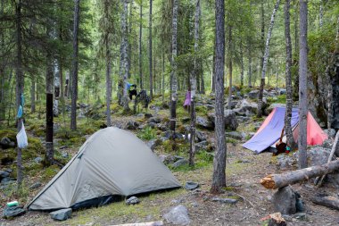 Glade ormandaki bir turist kamp.