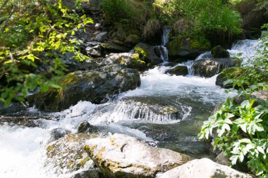 Temiz su ile dağ dere. Küçük bir nehir orman saf lezzetli buz gibi suyla.