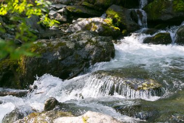 Temiz su ile dağ dere. Küçük bir nehir orman saf lezzetli buz gibi suyla.