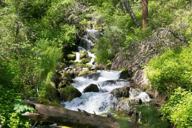 Temiz su ile dağ dere. Küçük bir nehir orman saf lezzetli buz gibi suyla.