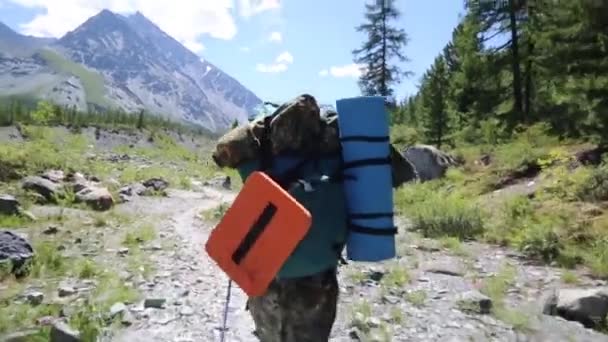 Turysta Dużym Plecakiem Idzie Wzdłuż Ścieżki Człowiek Dużej Torby Plecach — Wideo stockowe