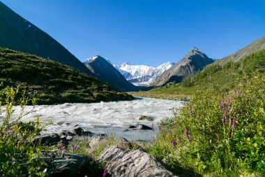 Altay Rusya yüksek bir karlı dağın arka planı hızlı bir nehir. Bir dağ nehir ve yüksek dağları ile muhteşem bir manzara.