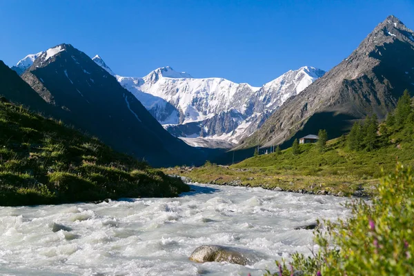 Río Rápido Sobre Fondo Una Alta Montaña Nevada Altai Rusia — Foto de Stock