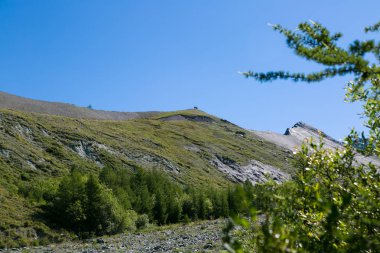 Birkaç turist dağda yüksek hazır. Bir grup insan bir dağın zirvesinde.