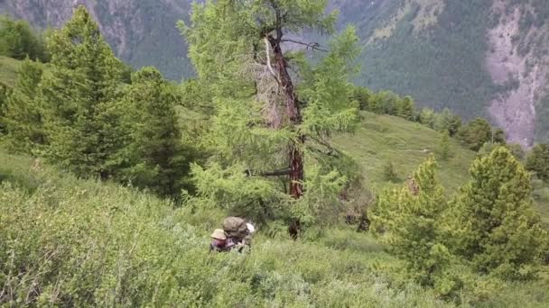 観光山中高山を彼らの方法になります バックパックと男は彼の肩にバックパックを持つ草に腰に行く — ストック動画