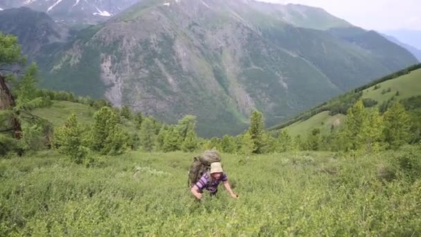 Turisti Kulkee Vuorten Korkean Vuoren Läpi Mies Jolla Reppu Menee — kuvapankkivideo