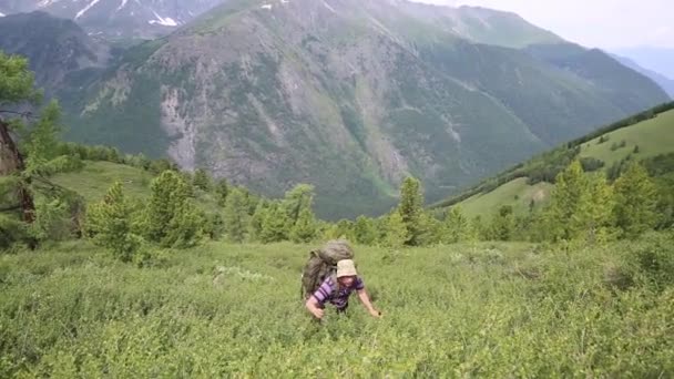 Der Tourist Bahnt Sich Seinen Weg Durch Den Hohen Berg — Stockvideo