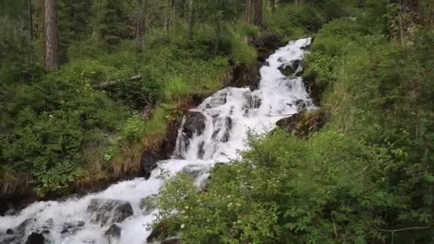 Górski Strumień Czystą Wodą Rzeczka Czystego Smaczny Lodowatej Wody Lesie — Wideo stockowe