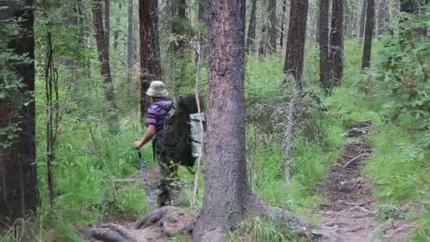 Seyahat Zammı Turist Izinde Ormanlar Dağlar Wilderness Sibirya Hiking — Stok video