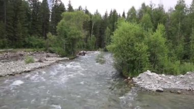 Hızlı nehir, köprü görünümü. Küçük bir hızlı nehir kıyısında ağaçları ile temiz su ile.