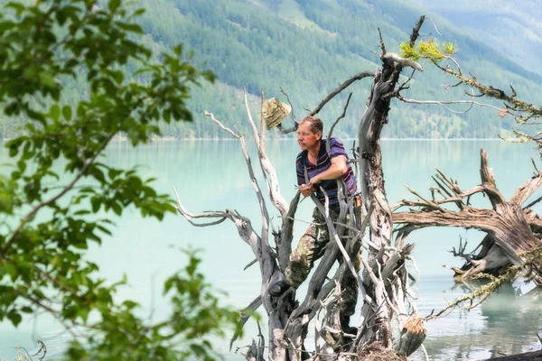 一个人站在水中倒下的树上 一位游客站在山湖中从风中倒下的一棵树的树干上 — 图库照片