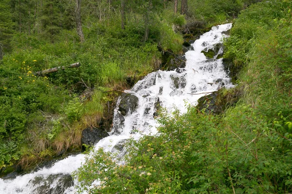 Gebirgsbach Mit Klarem Wasser Ein Kleiner Fluss Mit Reinem Leckerem — Stockfoto