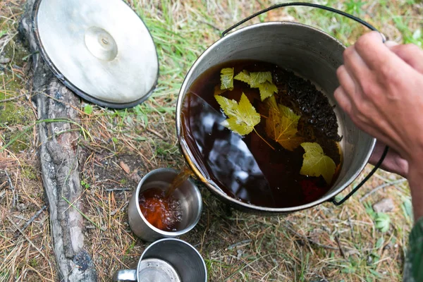 Tea from forest herbs in the hike. A man pours tea from currant leaves and various herbs into a metal mug.