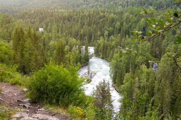 西伯利亚的快山河 俄罗斯 山与干净的新鲜空气 从山河的高度看风景 — 图库照片