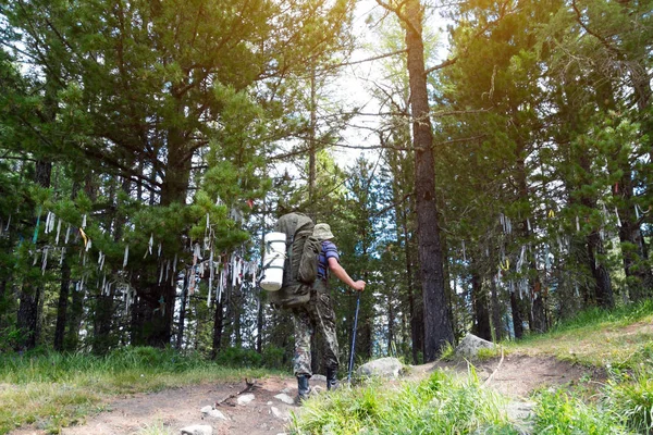 Турист Проходит Мимо Дерева Цветными Лентами Мужчина Рюкзаком Плечах Подошел — стоковое фото