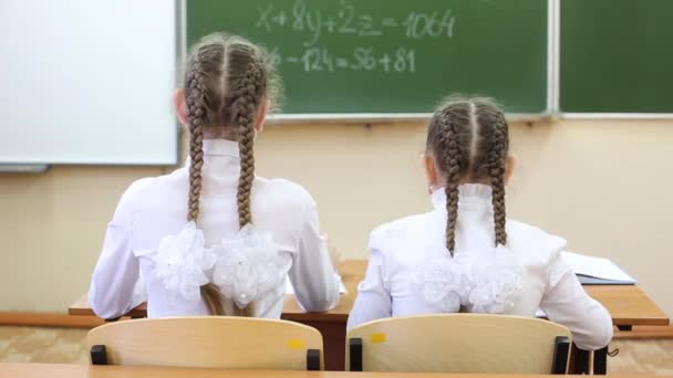 Liseli Kızlar Tahtanın Arkadan Görünümüne Bakarlar Ocher Üzerinde Okul Yönetim — Stok video