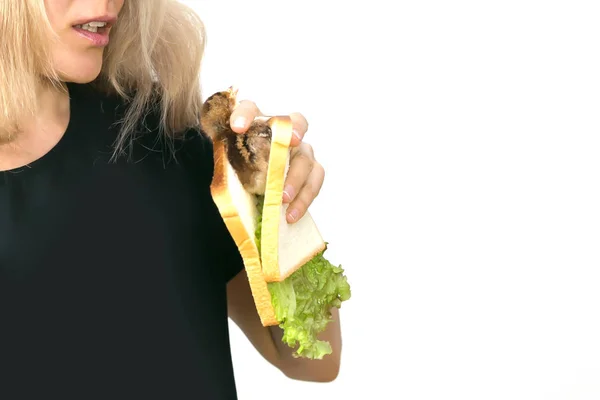 Lebendhuhn Sandwich Werbung Für Vegetarismus Der Mann Hält Noch Ein — Stockfoto